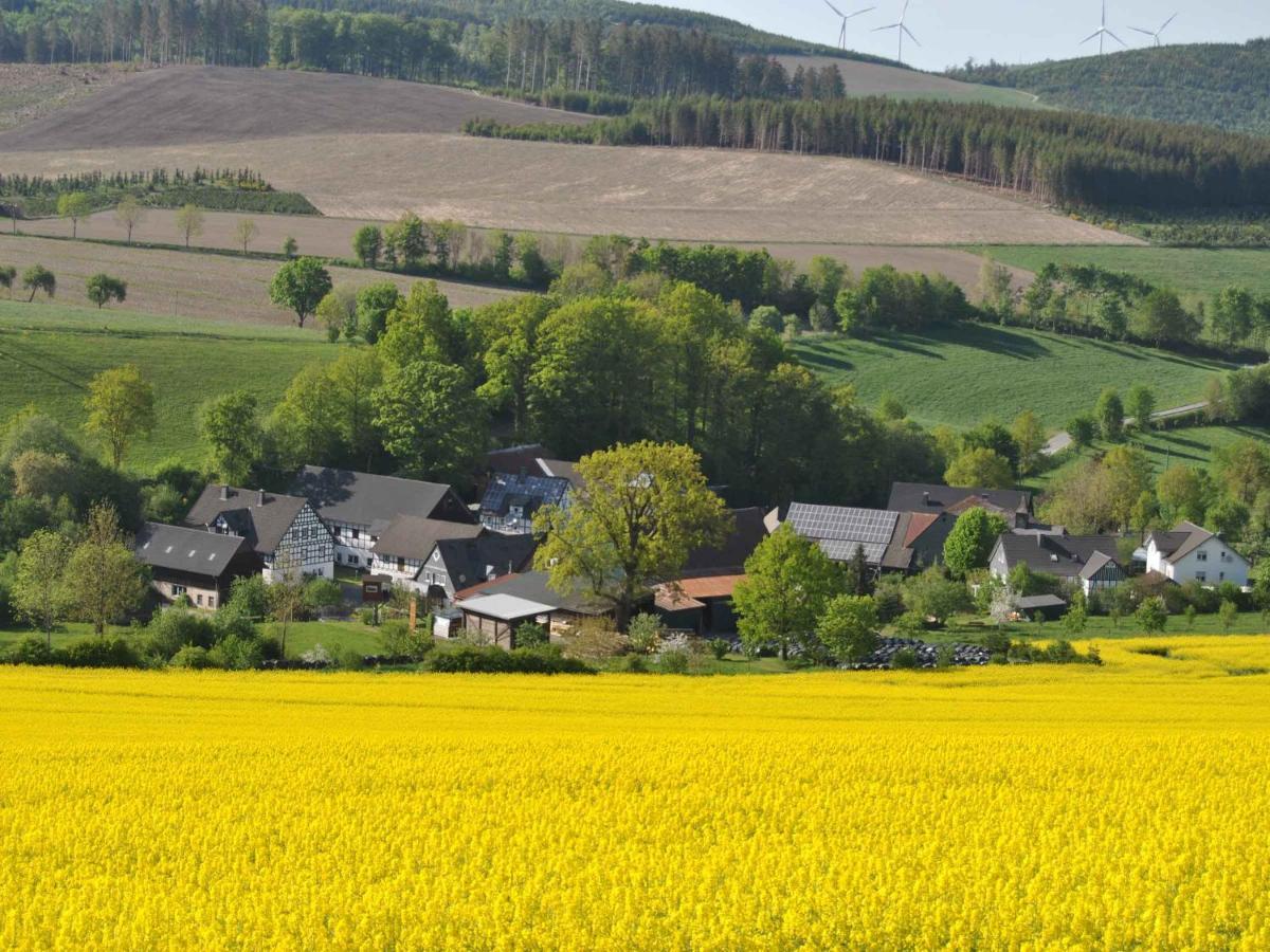 Ferienwohnungen Uebern Hof Schmallenberg Esterno foto